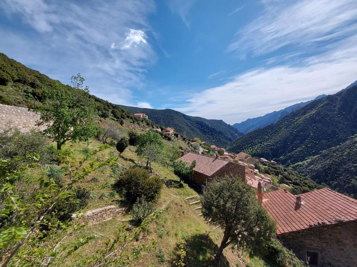 Residence E Cime Asco Locations De Studios Meubles 외부 사진