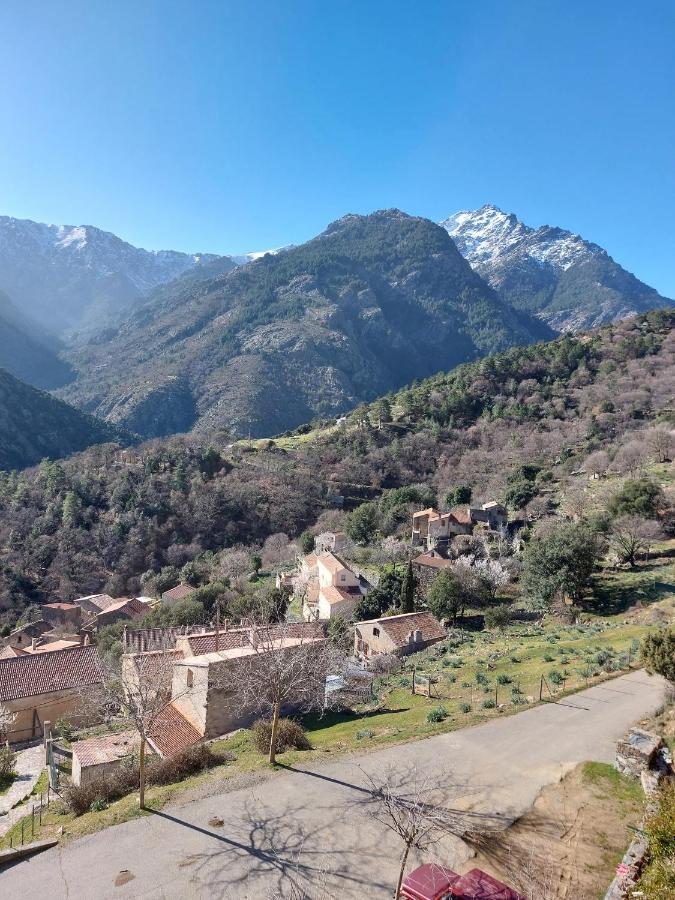 Residence E Cime Asco Locations De Studios Meubles 외부 사진