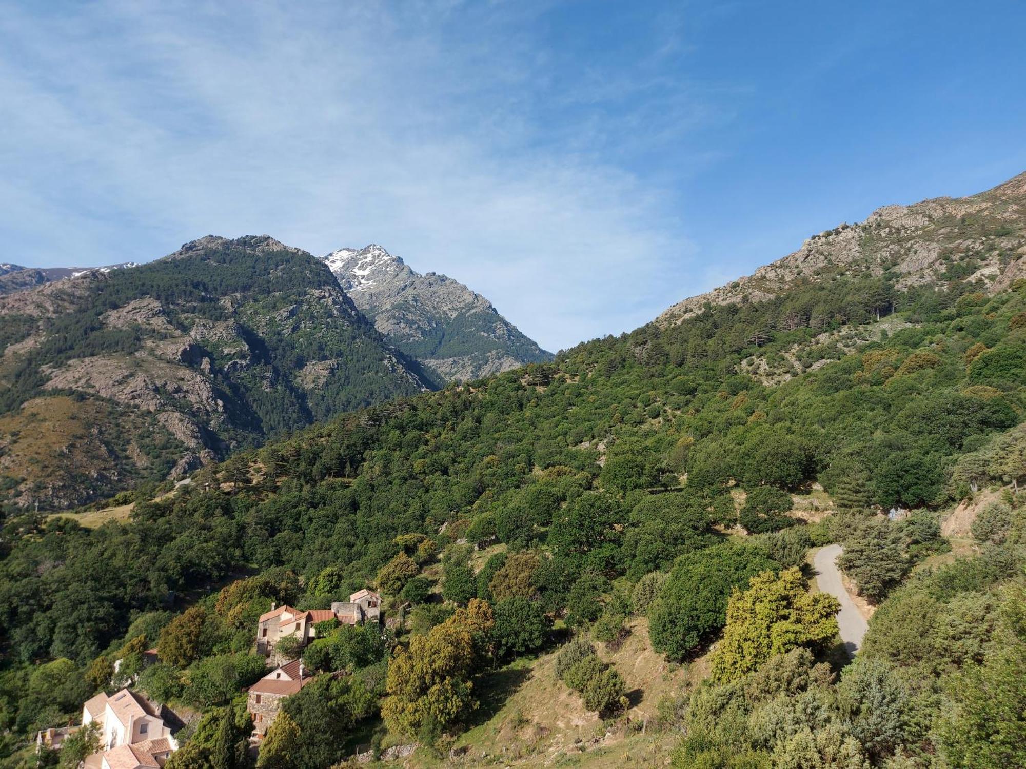 Residence E Cime Asco Locations De Studios Meubles 외부 사진